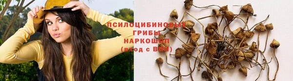 стафф Бородино