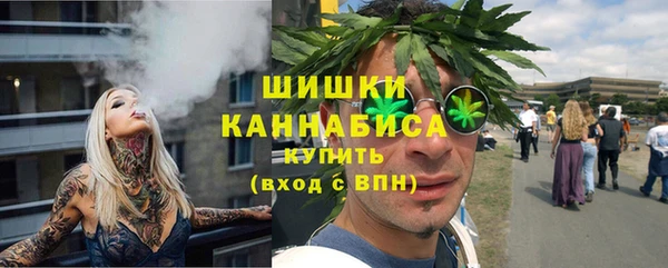 стафф Бородино
