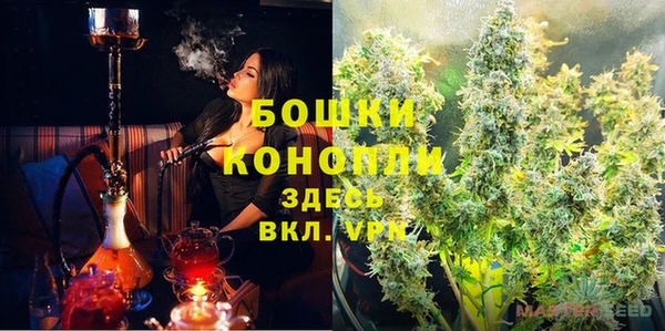 стафф Бородино
