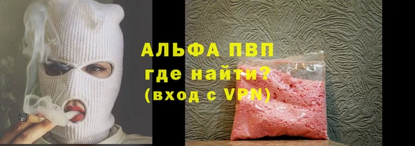 стафф Бородино